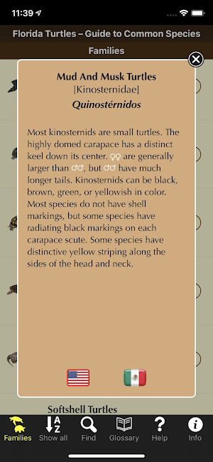 Florida Turtles Screenshot 1