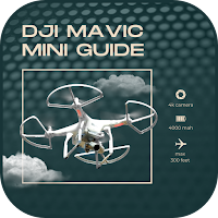 Video DJI Mavic Mini Guide