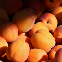 Peach Color Wallpaper