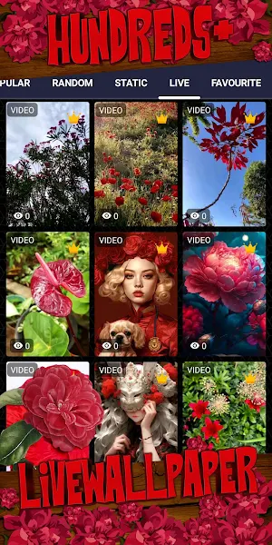 red flower wallpaper Screenshot 2