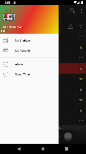RADIO CAMEROON Screenshot 0