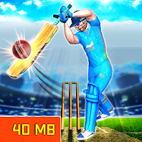 Real World Cricket League 19: 