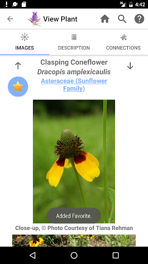 Flora of Texas: FW Prairie Screenshot 3
