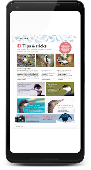 Bird Watching Magazine Screenshot 3