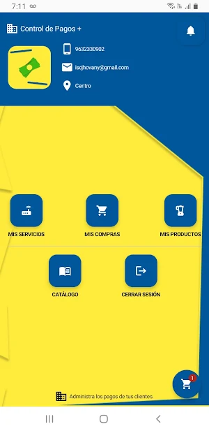 Consulta Pagos Screenshot 0