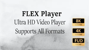 FLEX Video Player All Format Screenshot 2