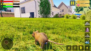 Wild Mouse Family Sim 3D Screenshot 2