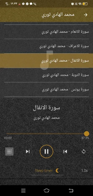 محمد الهادي توري MP3 بدون نت Screenshot 0