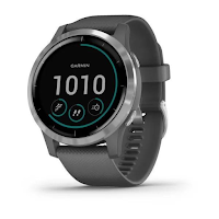 Garmin Vivoactive 4S guide
