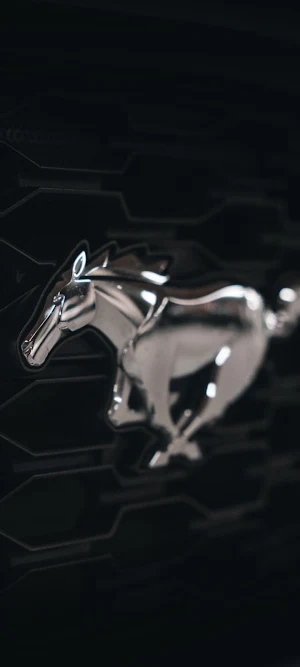 Ford Mustang Screenshot 1