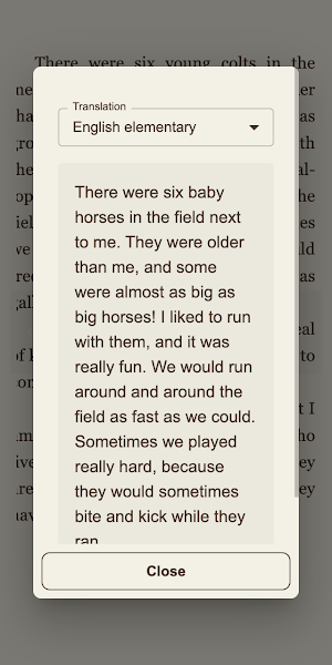 RidoBooks Screenshot 2
