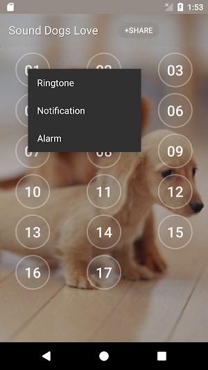 Sound Dogs Love Screenshot 1