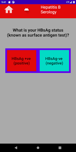 Hepatitis B Serology Screenshot 2