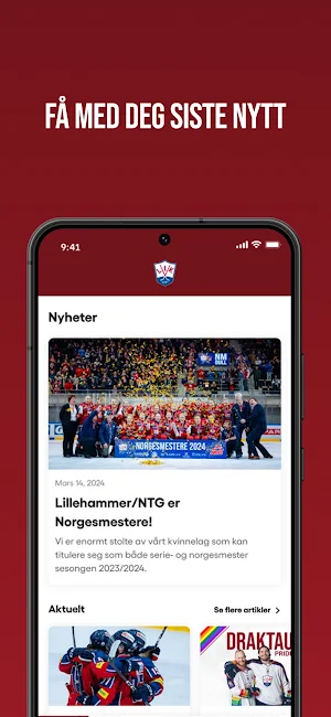 Lillehammer Hockey Screenshot 3