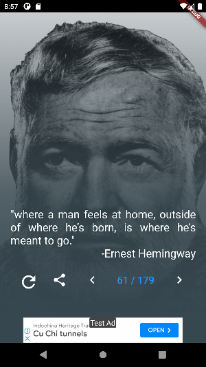 Ernest Hemingway Quotes Screenshot 0