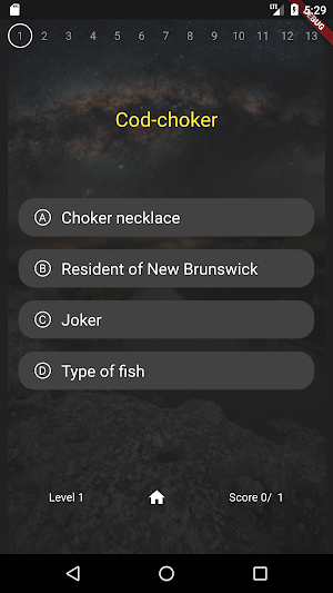 Canadian Slang Quiz Screenshot 1
