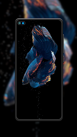 Beta Fish Wallpaper Screenshot 2