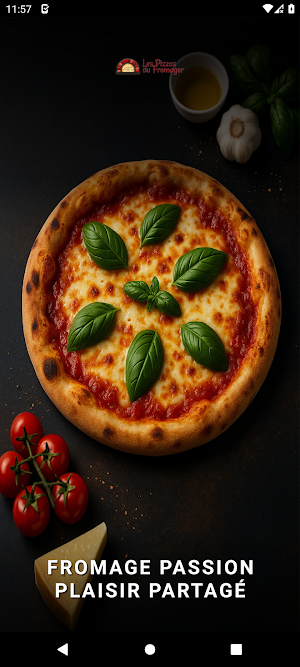 LES PIZZAS DU FROMAGER Screenshot 0