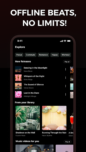 Offline Music Player - MeloMix Screenshot 0