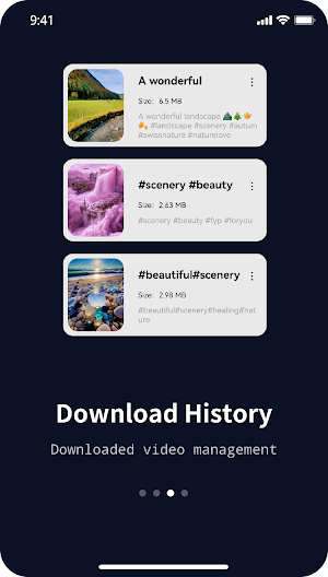 TikSave - Tik Downloader Screenshot 2