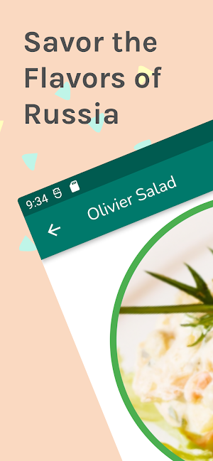 Russian Recipes Screenshot 0