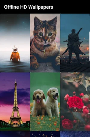 4K Wallpapers, HD Backgrounds Screenshot 2