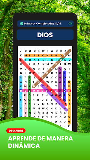 Sopa de Letras de la Biblia Screenshot 0