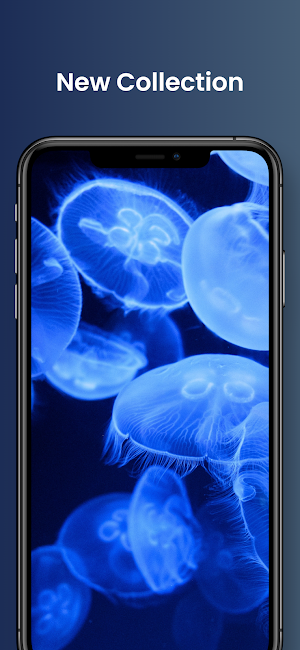 Cool Jellyfishes 3D Wallpapers Screenshot 2