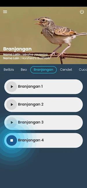 Kicau Burung Masteran Lengkap Screenshot 3