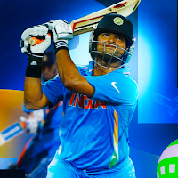 Cricket serious game