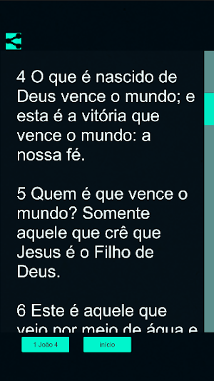 1 João Bíblicos Screenshot 3
