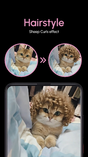 PixFun - AI Photos and Videos Screenshot 3
