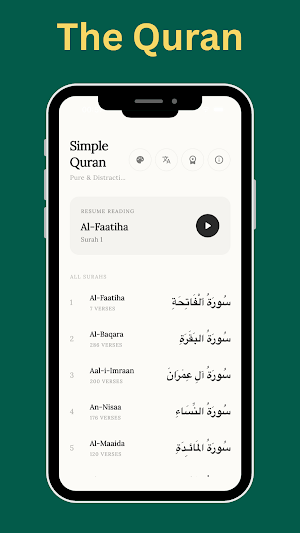 Quran English: Audio Offline Screenshot 1