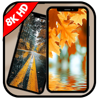 Autumn Wallpaper 8K