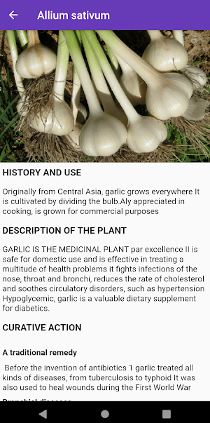 Medicinal plants: herbs, bark, spices Screenshot 2