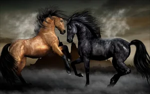 Horse Wallpapers Screenshot 3