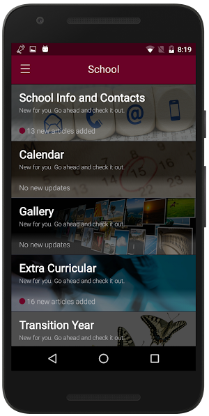 FCJ Bunclody Screenshot 3