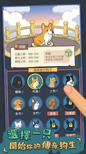 狗生模擬器 Screenshot 0