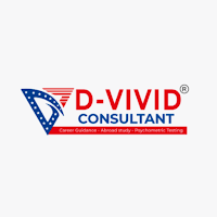 DVivid Consultant