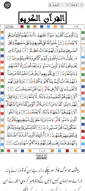 Maariful Quran Screenshot 0