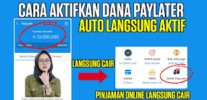 Cara Aktifkan Dana Paylater Screenshot 0