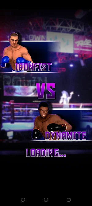 ULTIMATE BOXING Screenshot 2