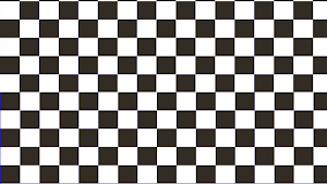 Security Race Flags / Driving  Screenshot 2