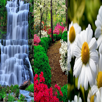 Backgrounds HD Wallpapers 3D4K