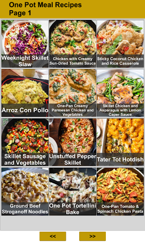 One Pot Meal Recipes Screenshot 0
