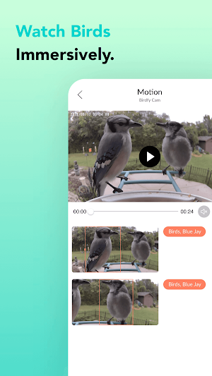 Netvue Next Screenshot 3
