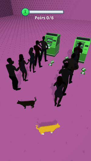 Hidden Pairs 3D Screenshot 0
