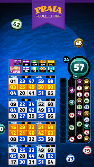 Tenerife Video Bingo Screenshot 3