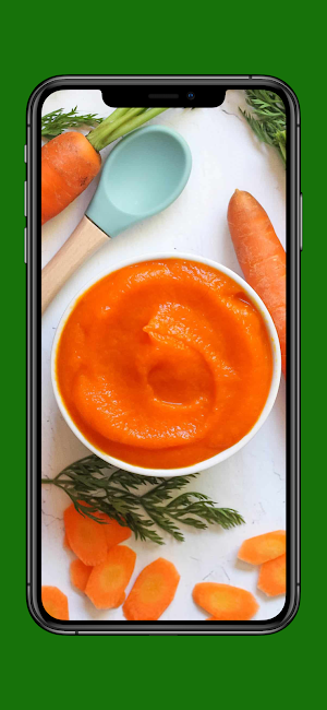 Healthy Baby Food Recipes Screenshot 2