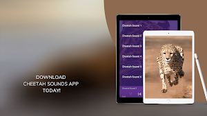 Cheetah Sounds - Best Cheetah Ringtones Screenshot 1